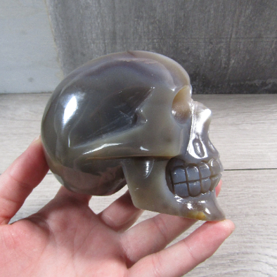 Gemstone Skull Large Display Size