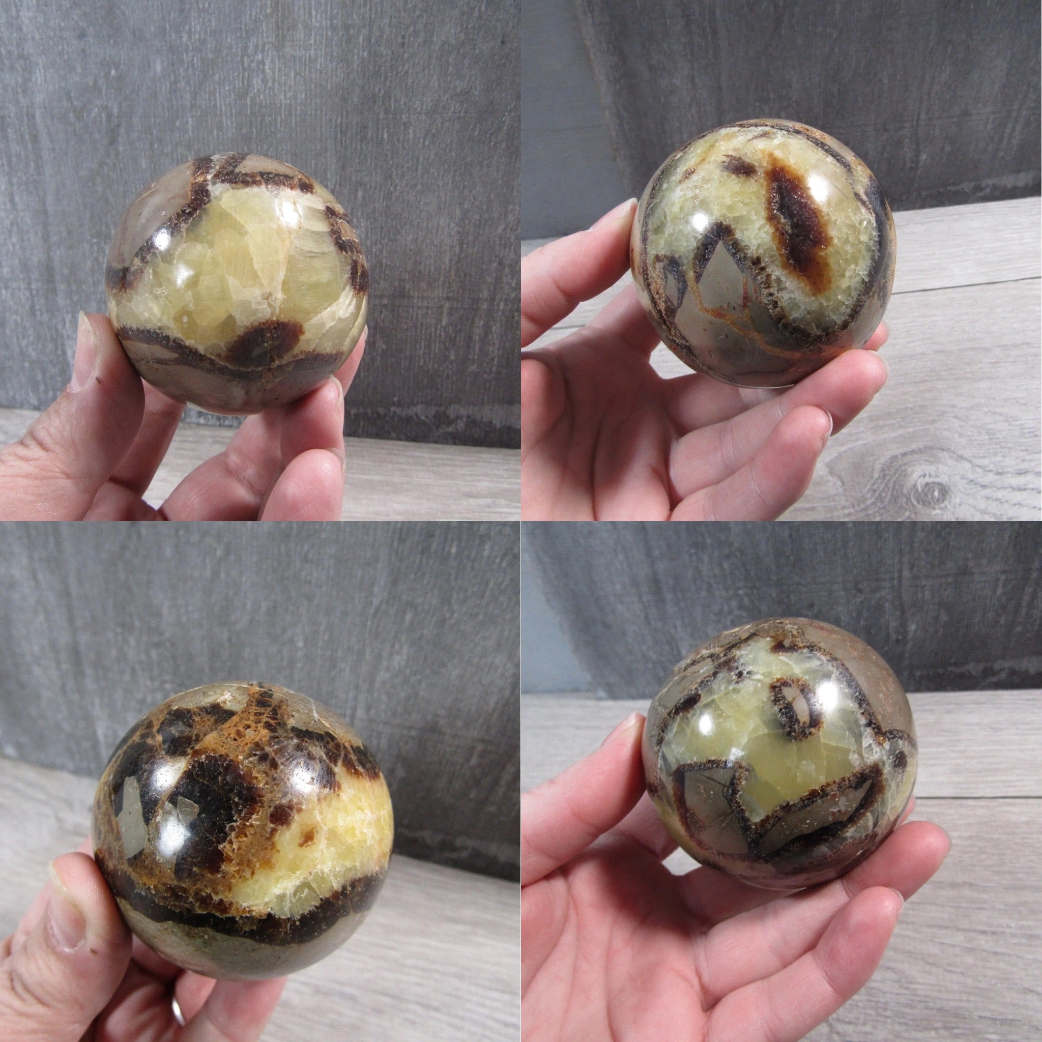 Close-up of Septarian Nodule display spheres featuring cracked earth-like designs with yellow calcite highlights