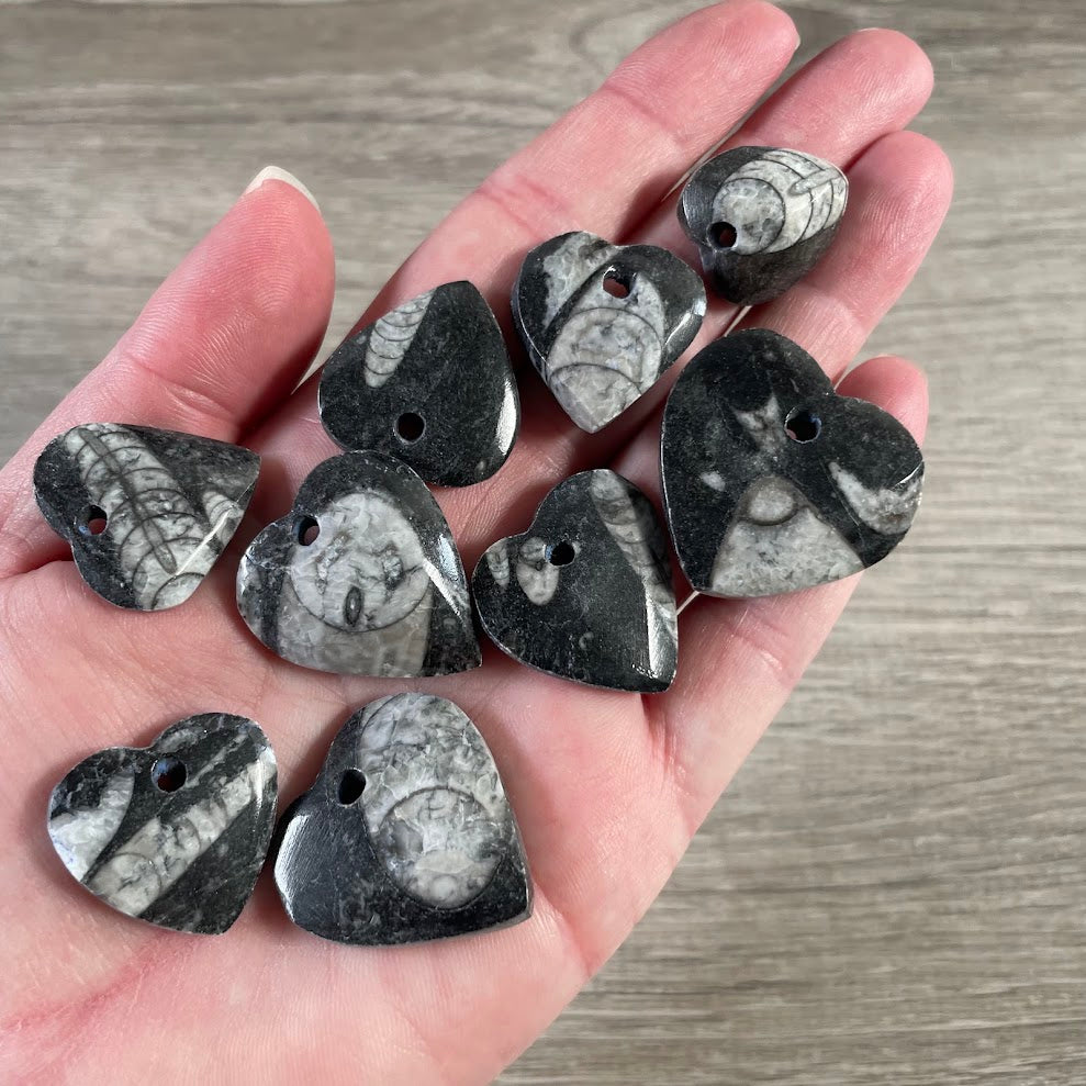 Orthoceras fossil focal bead for handmade necklaces and bracelets gift shop supply