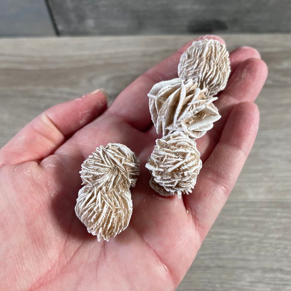 Natural desert rose selenite stone with unique rosette shape