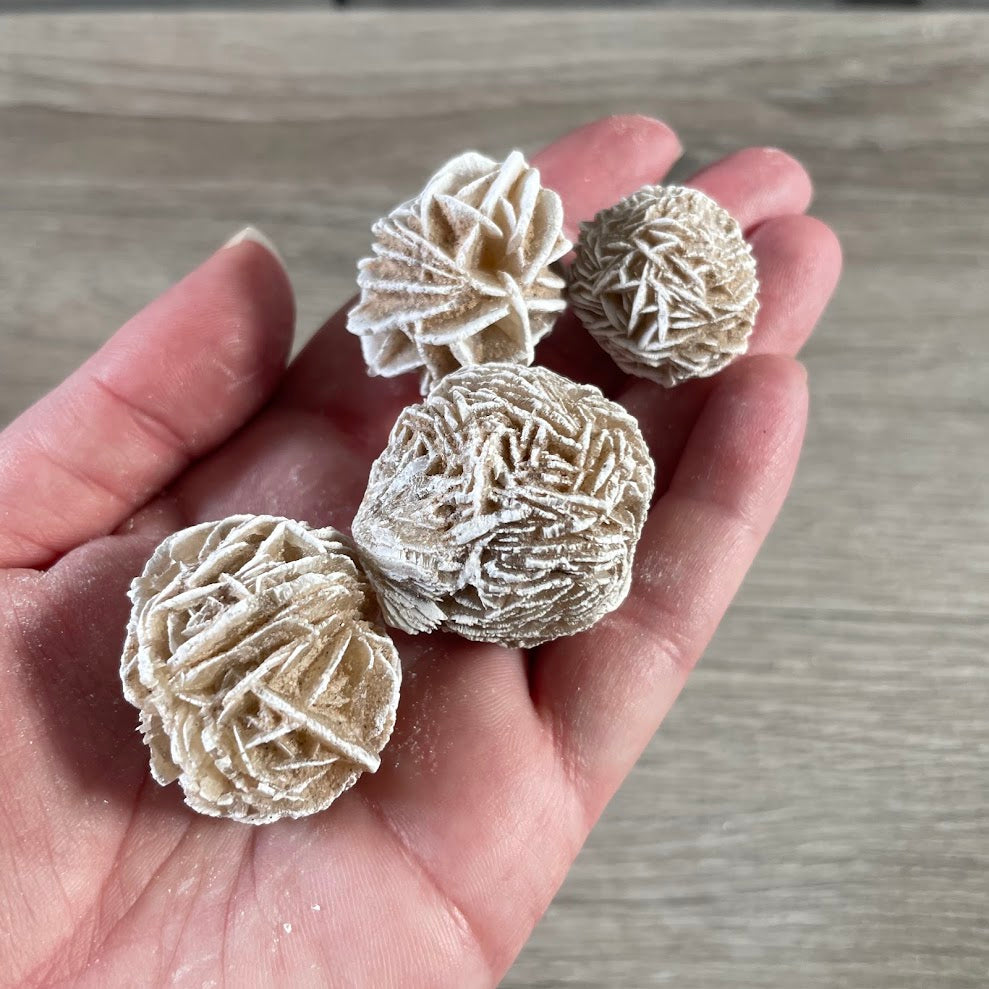 Natural gypsum rosette crystal mineral specimen