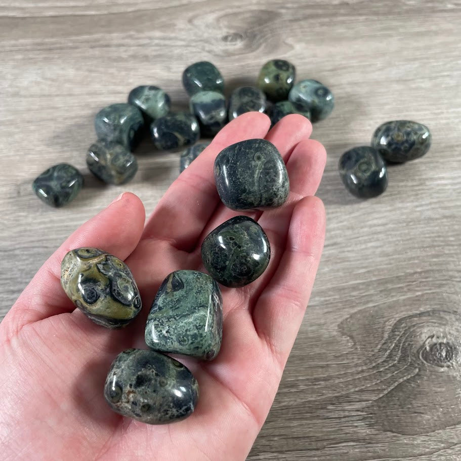 Kambaba Jasper tumbled stones 1 LB bulk lot polished tumbled stones