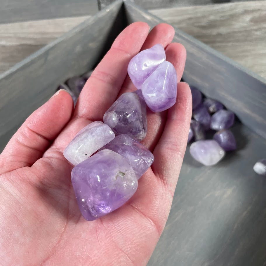 Bulk Amethyst Tumbled Stones 1 lb Lot for Crystal Retailers