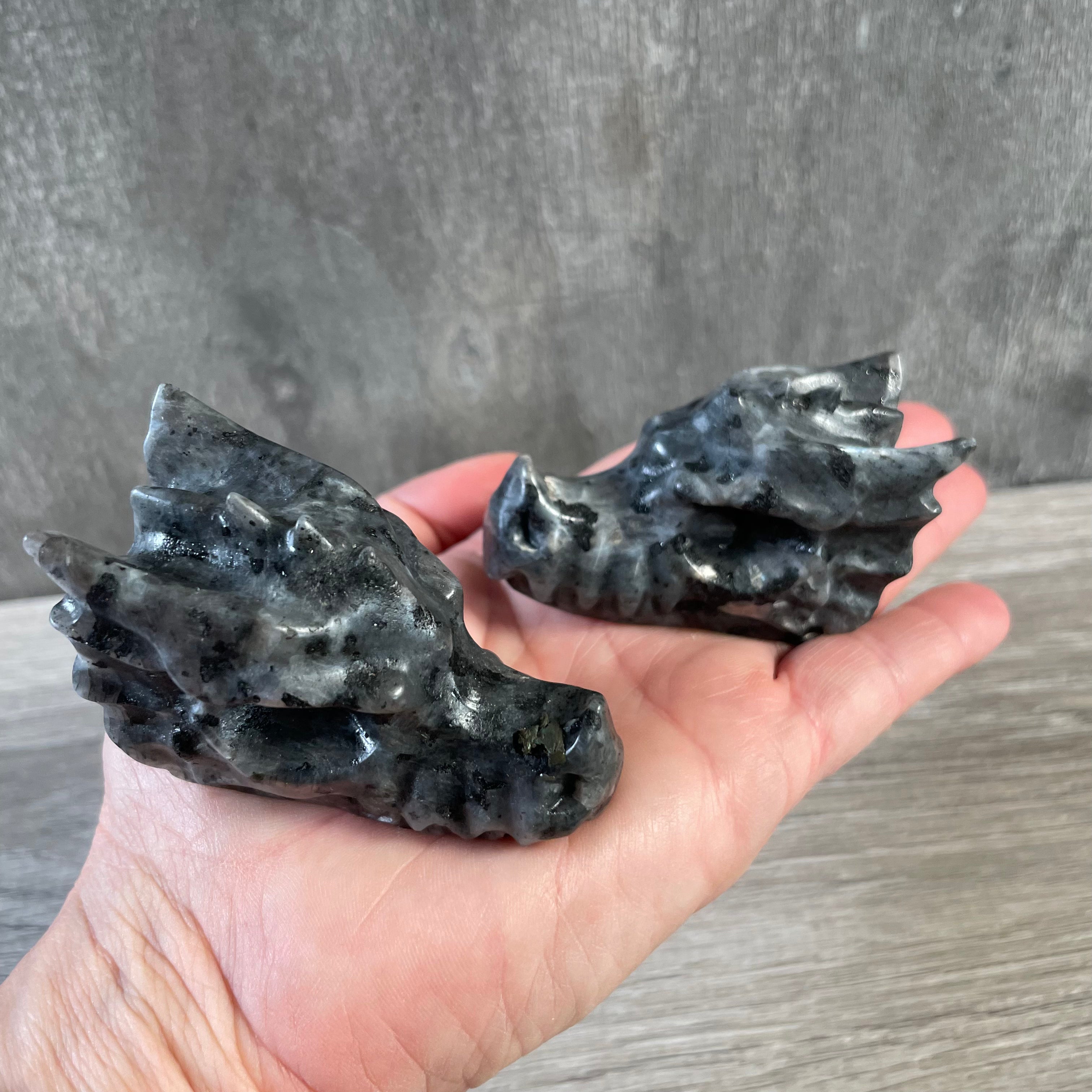 Gemstone 2.5 inch Dragon Skulls