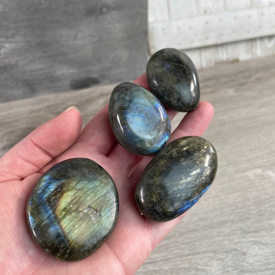 wholesale labradortie palm stones