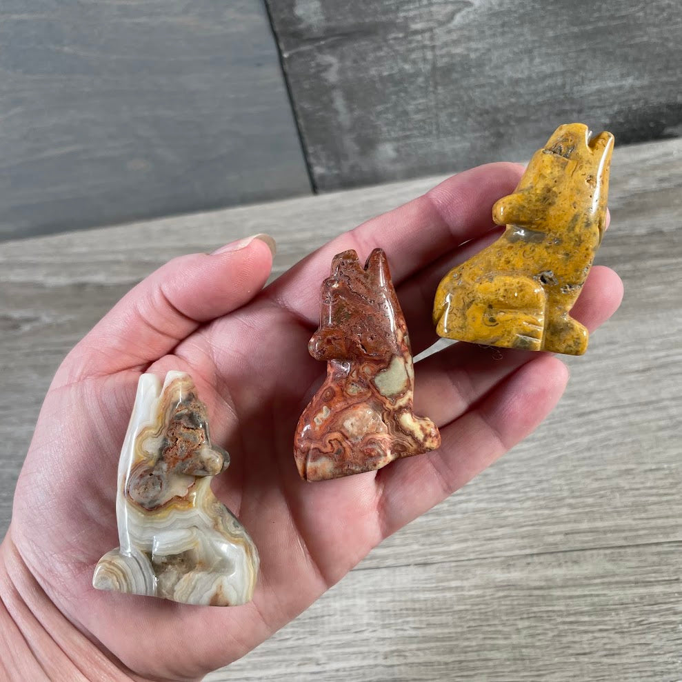 Medium gemstone coyote figurine carved from assorted natural stone for crystal shops and gift stores