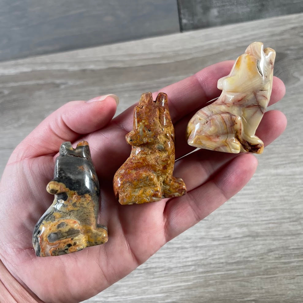 Assorted gemstone coyote carving for animal totem collections and crystal display shelves