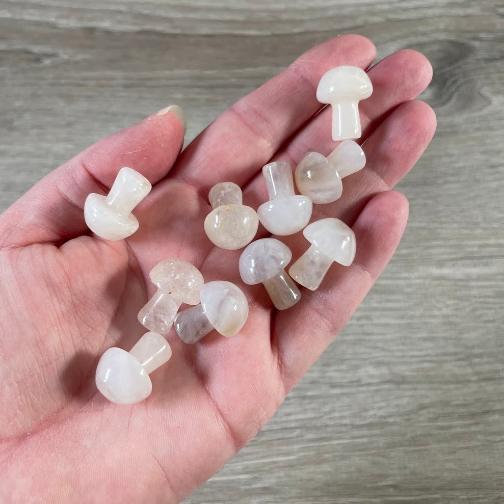 Small Gemstone Mushrooms for Crystal and Gift Shops