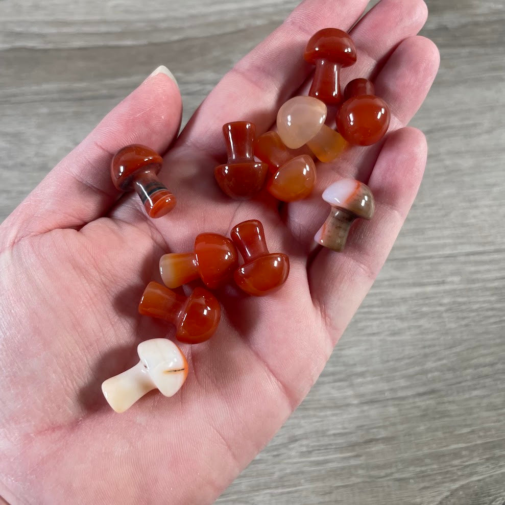 Small Gemstone Mushrooms for Crystal and Gift Shops