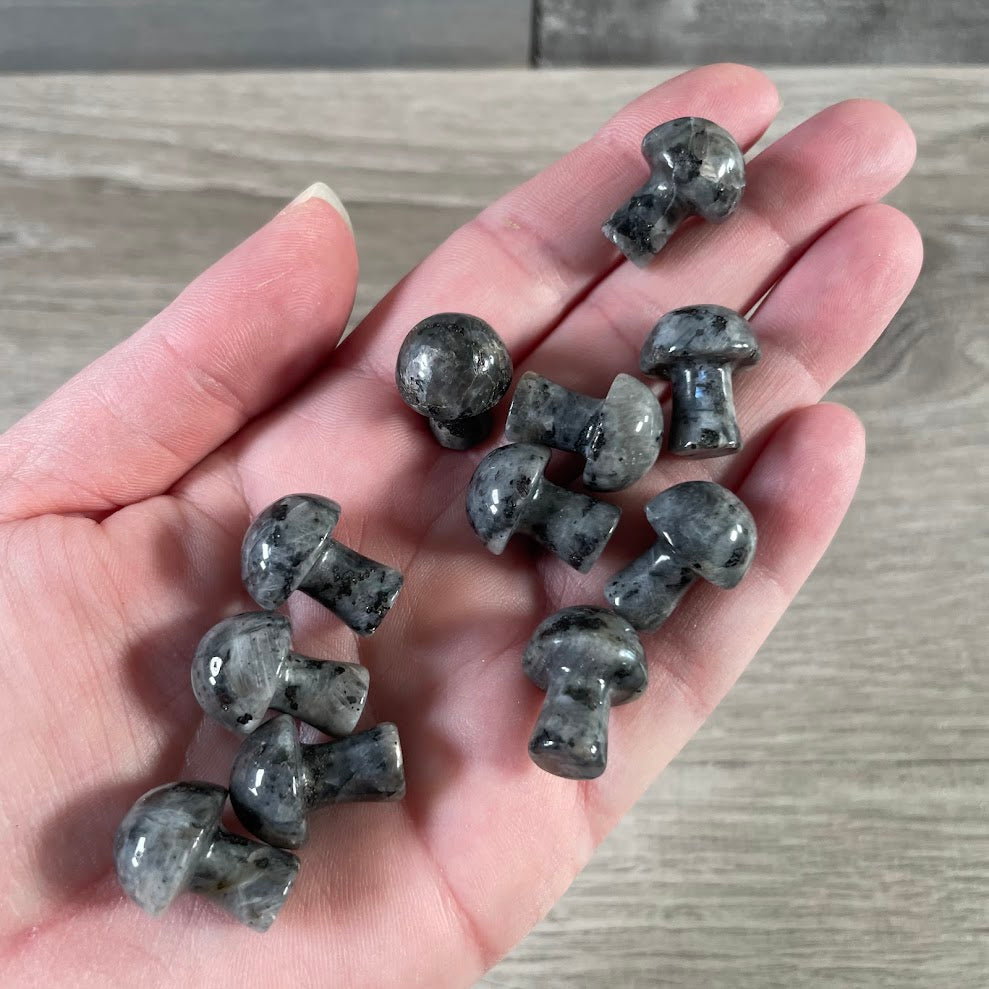Small Gemstone Mushrooms for Crystal and Gift Shops