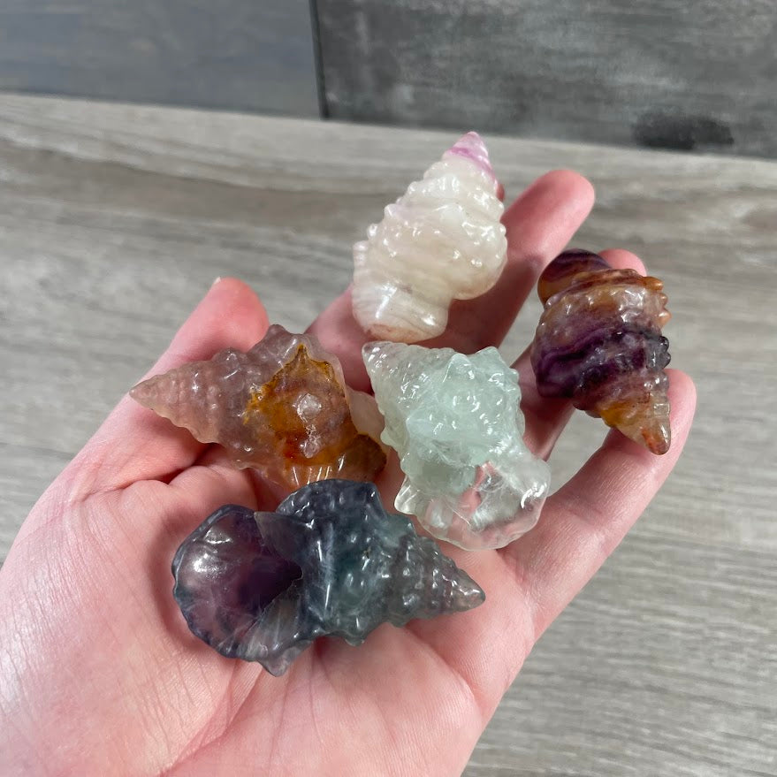 Conch seashell fluorite figurines for gift shop buyers
