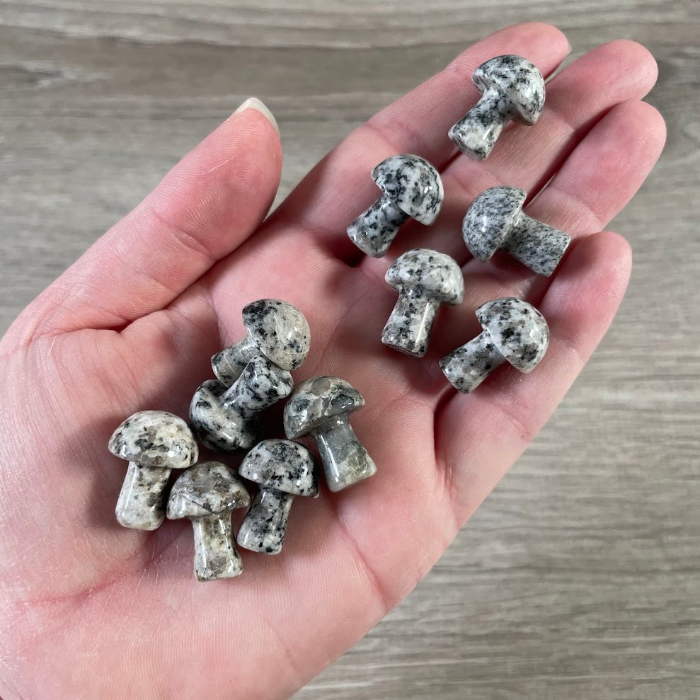 Small Gemstone Mushrooms for Crystal and Gift Shops