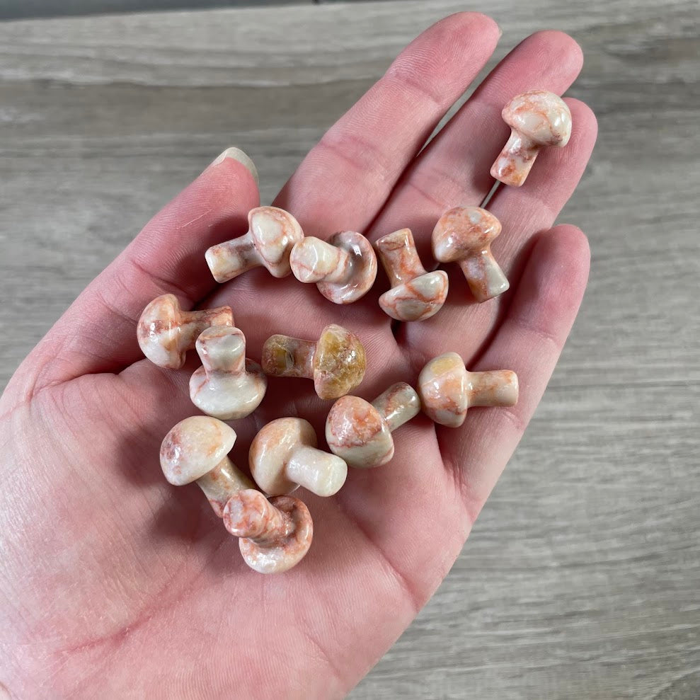Small Gemstone Mushrooms for Crystal and Gift Shops