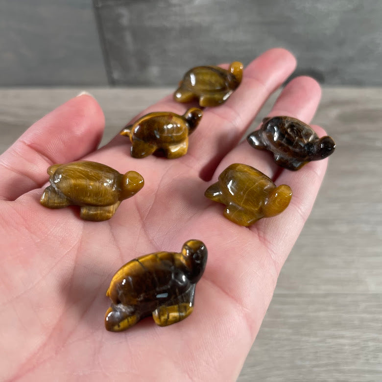 tiger eye sea turtle animal totem wholesale