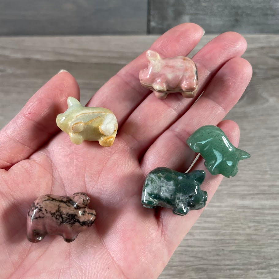 assorted crystal pig figurines metaphysical gift shop wholesale