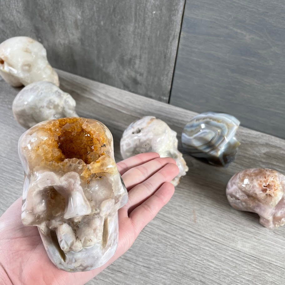 Close up of quartz skull with other skulls in the background. 