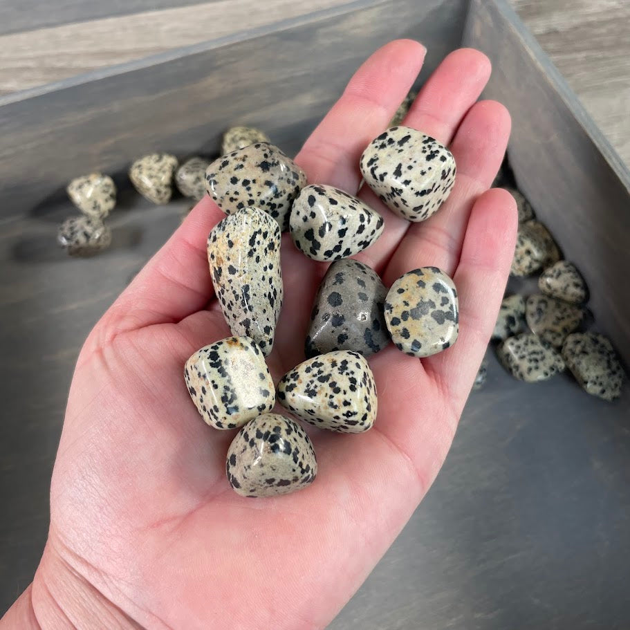 Dalmatian Jasper tumbled stones wholesale lot