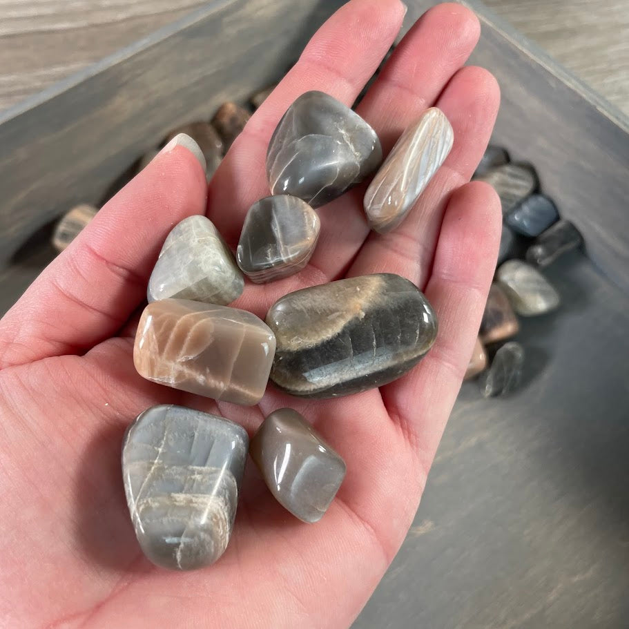 Black Moonstone Tumbled Stones 1 lb wholesale lot for crystal shops