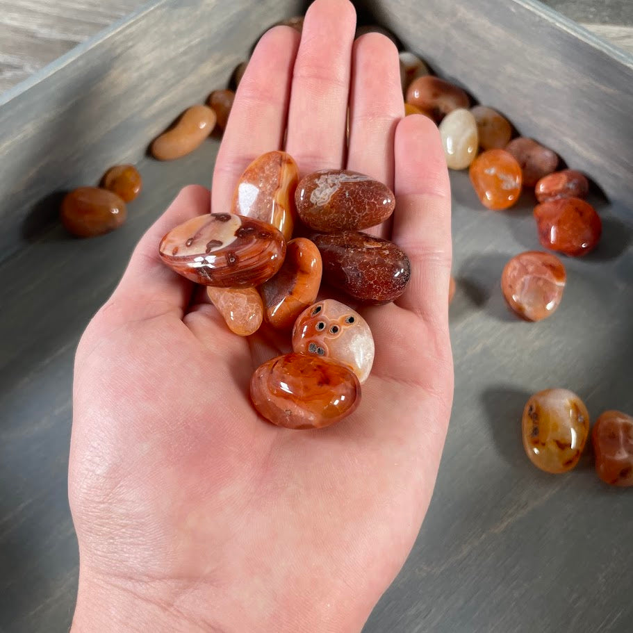 Carnelian Tumbled Stones 1 Pound lot for Crystal Shops