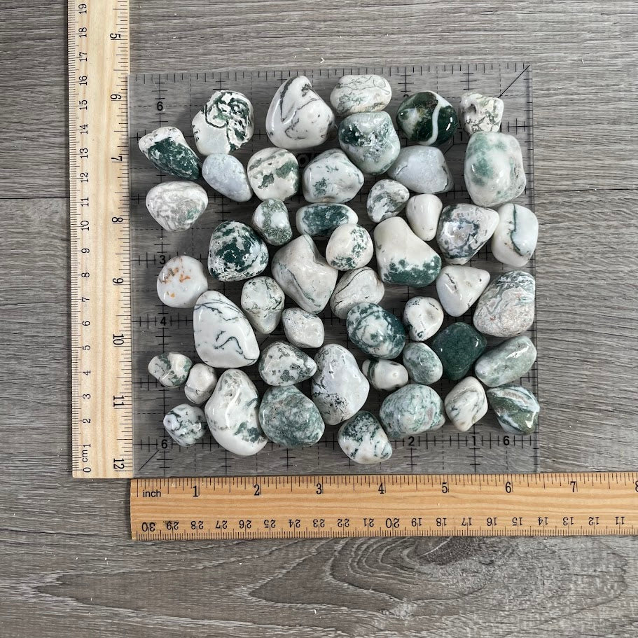 crystal lot wholesale tumbled tree agate