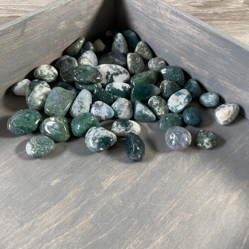Moss Agate Medium Tumbled Stones 1 LB Bulk - Natural Green Healing Crystals
