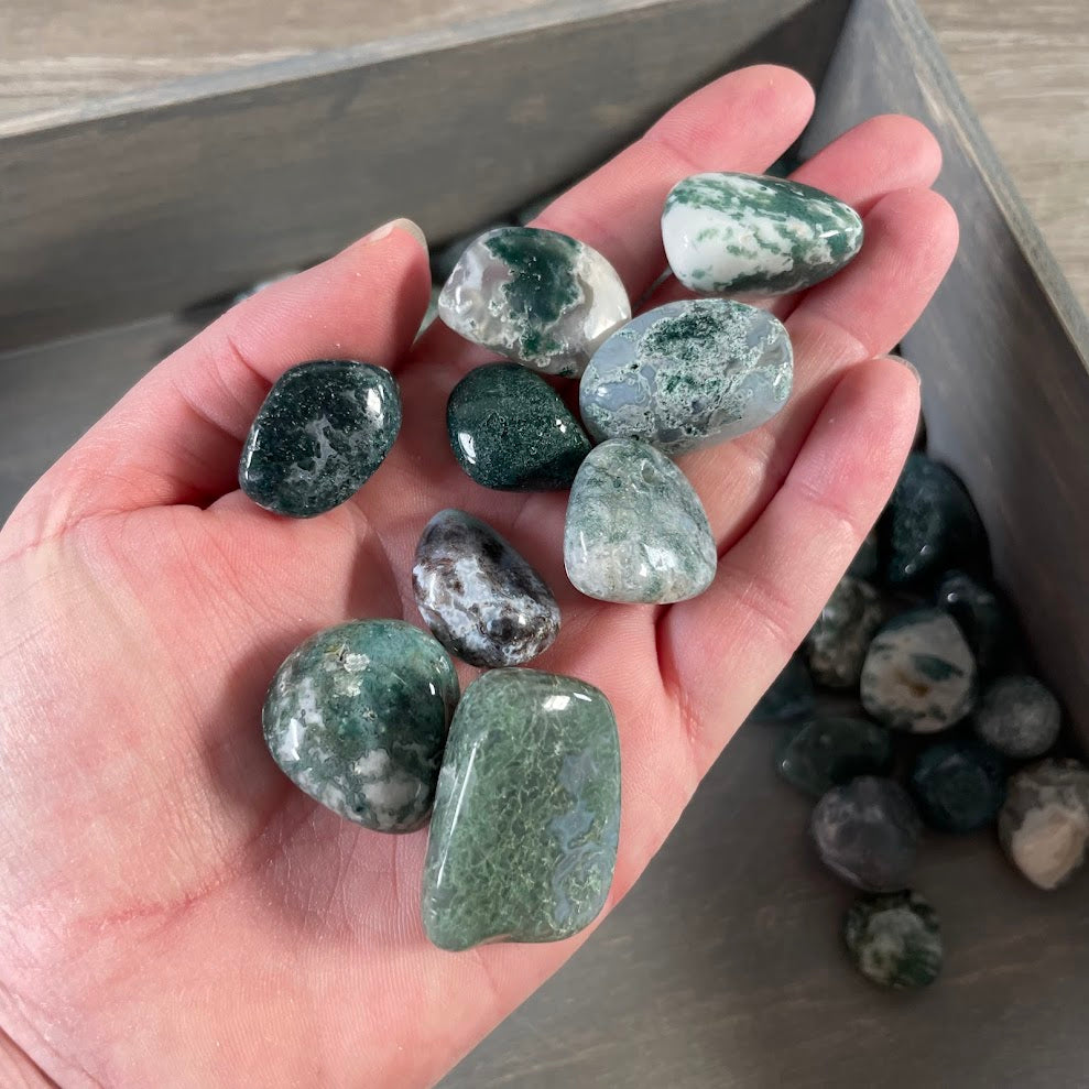 moss agate medium tumbled stones bulk 1 lb