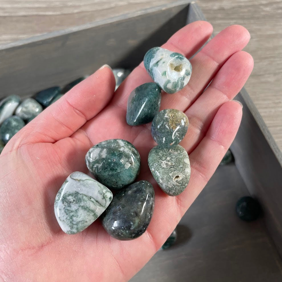 moss agate tumbled rock shop supply
