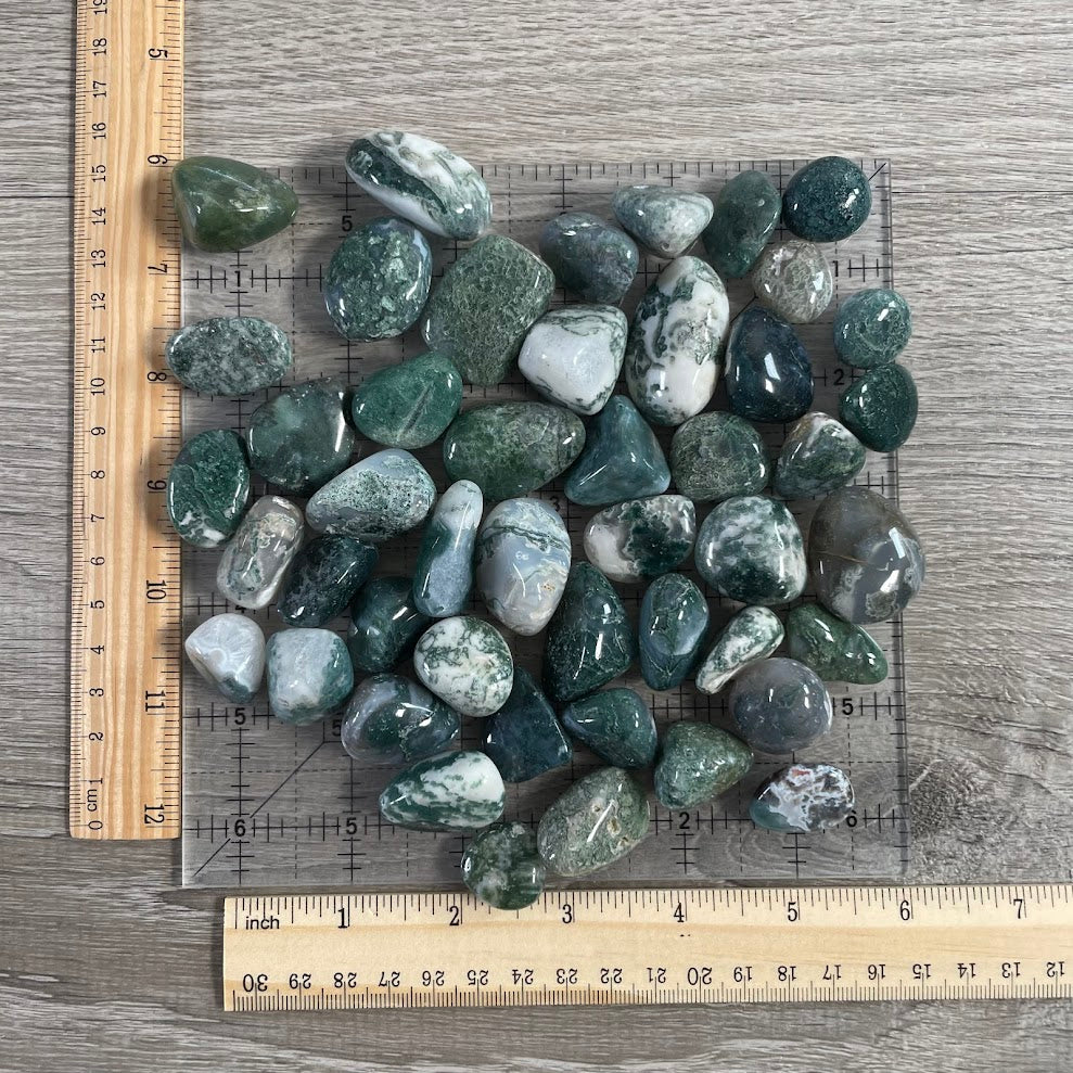 Moss Agate Medium Tumbled Stones 1 LB Bulk - Natural Green Healing Crystals