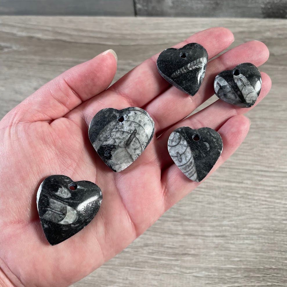 Polished orthoceras fossil heart bead for jewelry making and crystal crafts