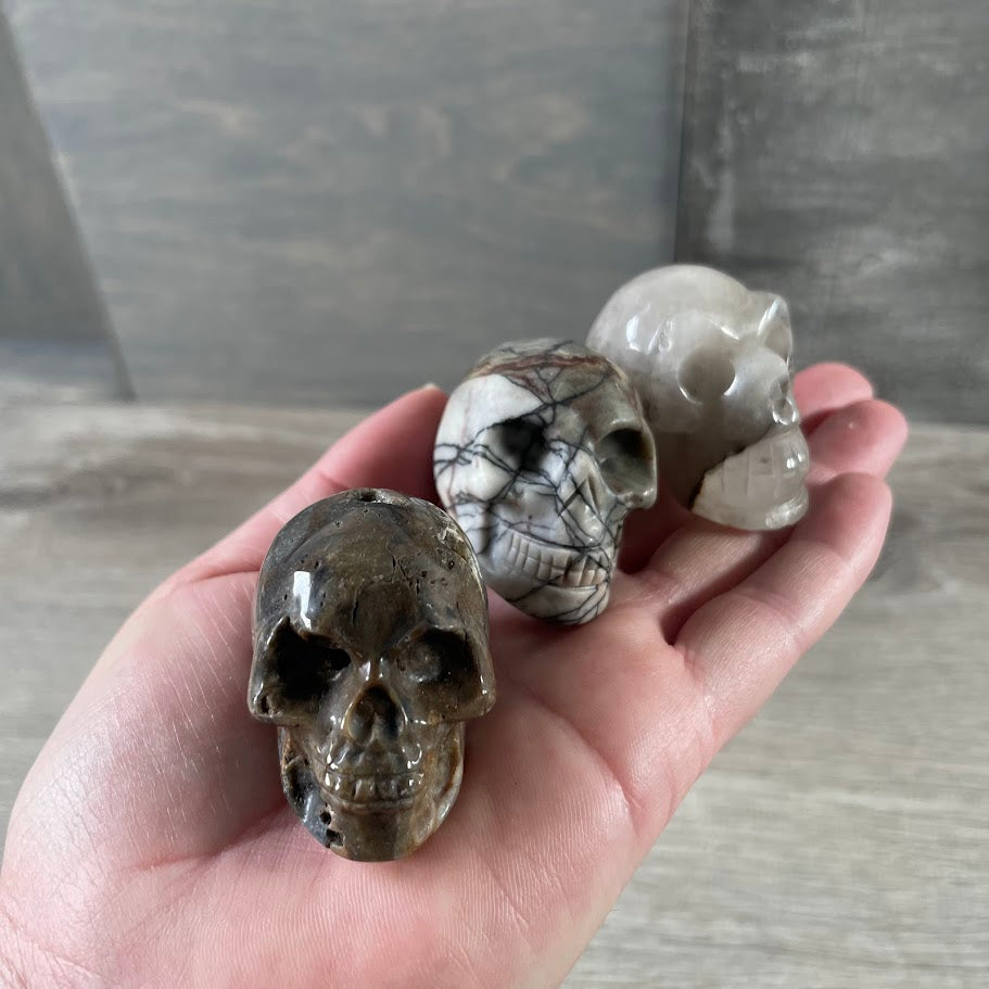 Assorted Gemstone Skull Figurines – Crystal Carvings in Bulk