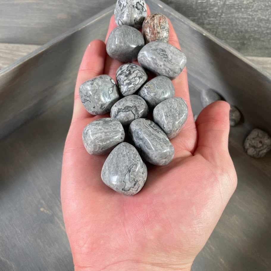 Silver Leaf Jasper tumbled stones 1 pound wholesale lot