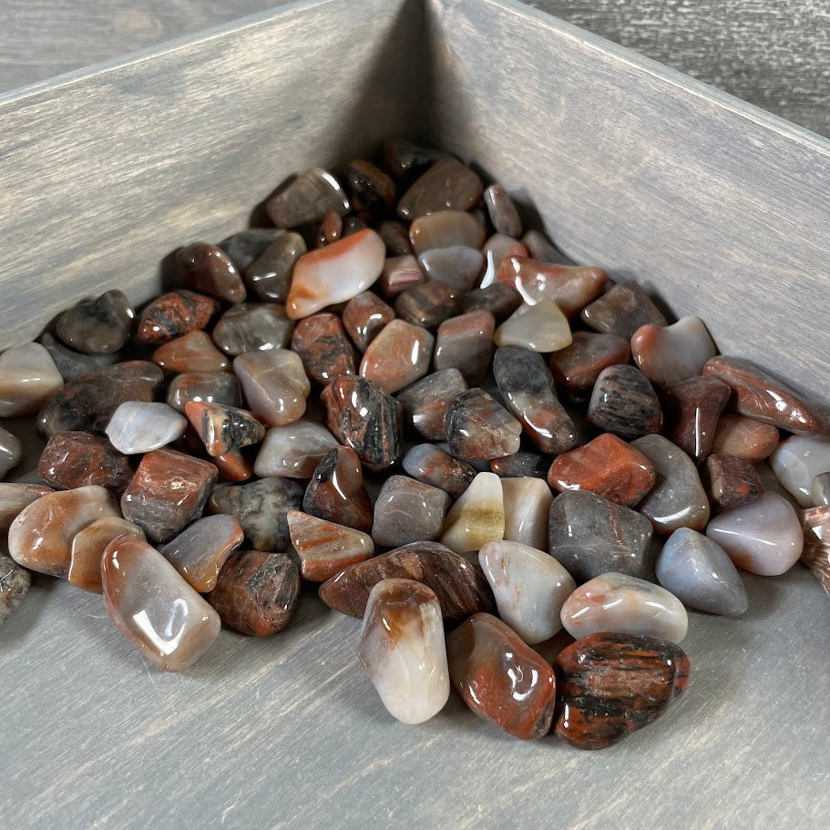 wholesale petrified wood stones for metaphysical and gift stores
