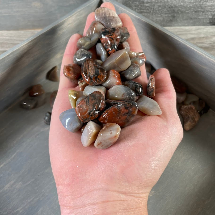 1 pound of petrified wood tumbled stones in bulk for crystal shops