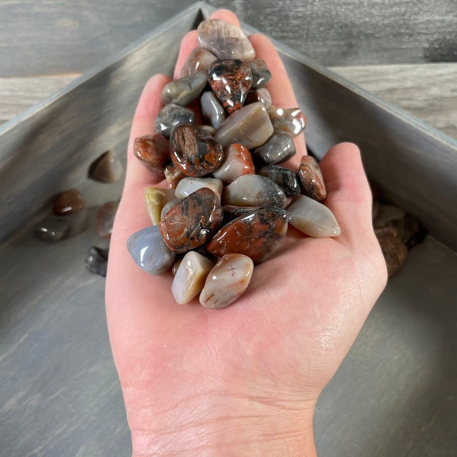 bulk fossilized wood stones for resale in crystal and metaphysical shops