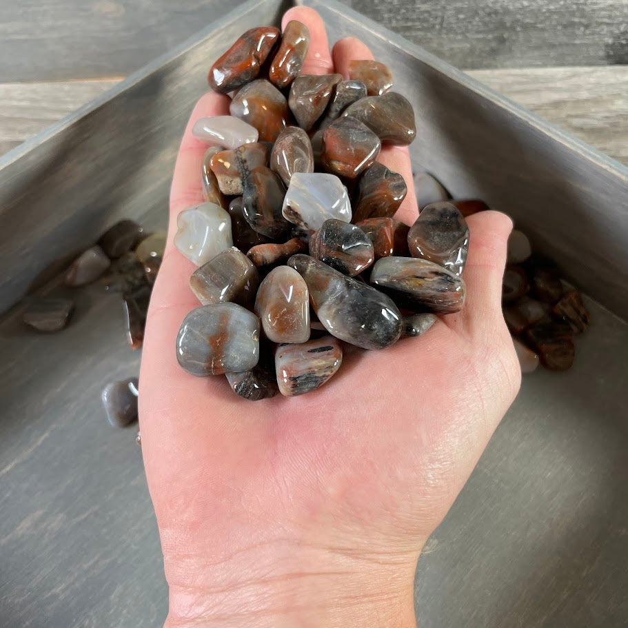 grounding tumbled petrified wood crystals in assorted shapes and earthy colors
