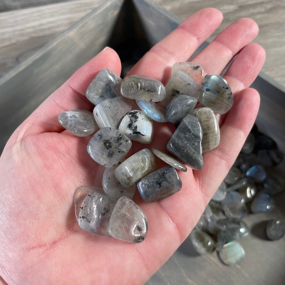 labradorite stones with blue flash  rock shop supply