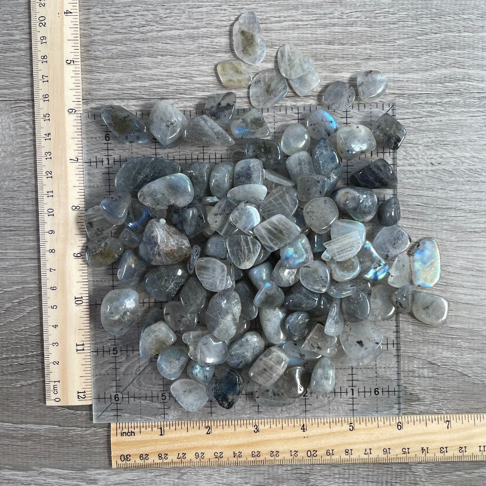 Labradorite Tumbled Stones Bulk 1 LB – Natural Flash Labradorite Healing Crystals Wholesale