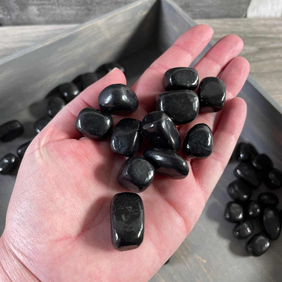 shungite crystals for metaphysical shops