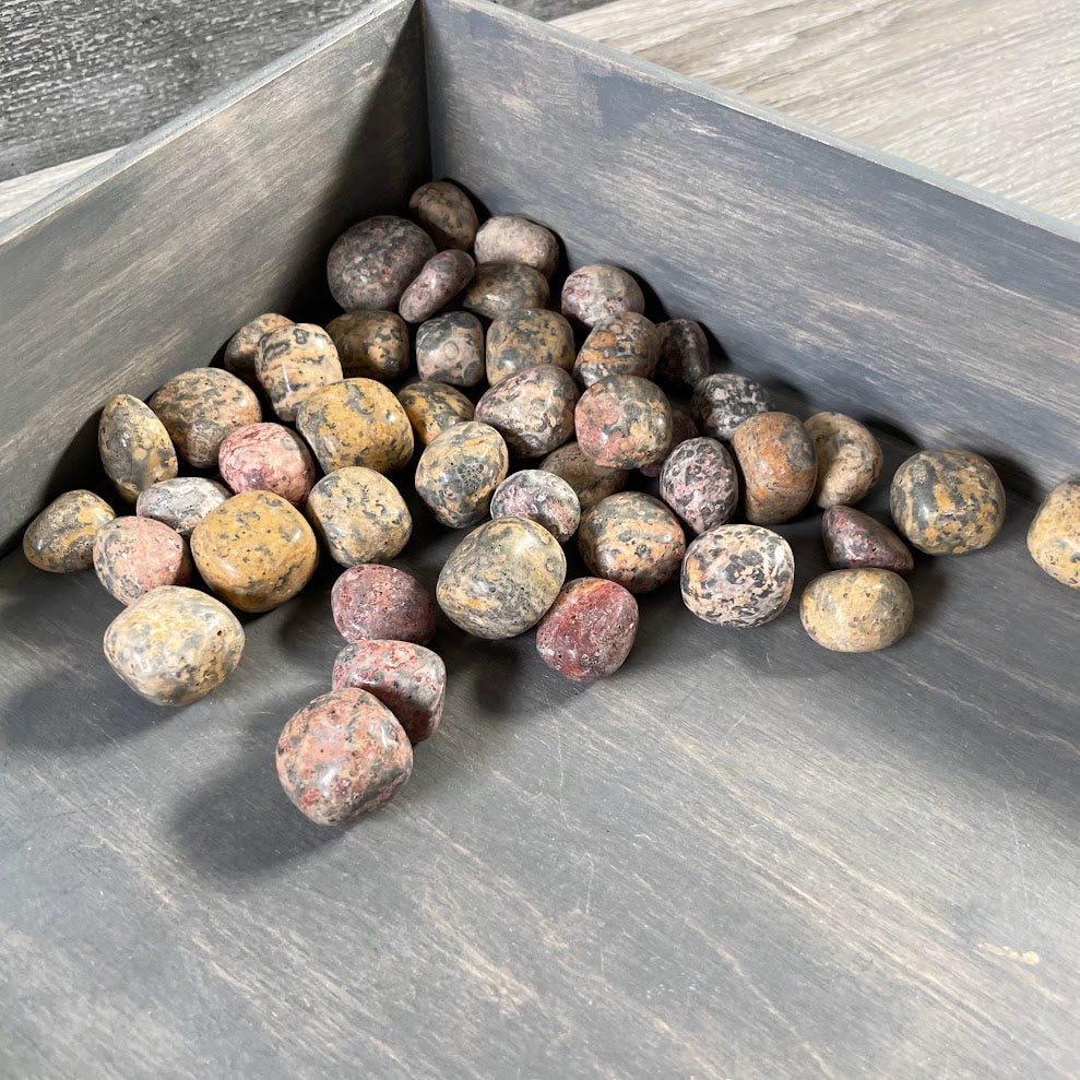 bulk healing crystals leopardskin jasper