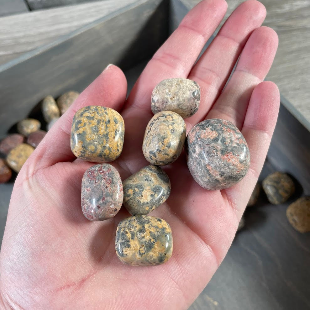 wholesale tumbled crystals leopard jasper