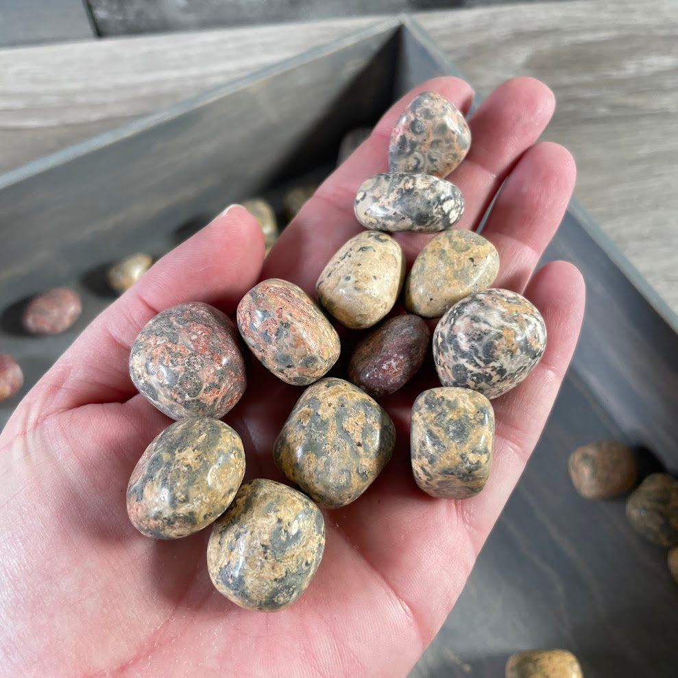 Leopardskin Jasper Tumbled Stones – 1 Pound Lot
