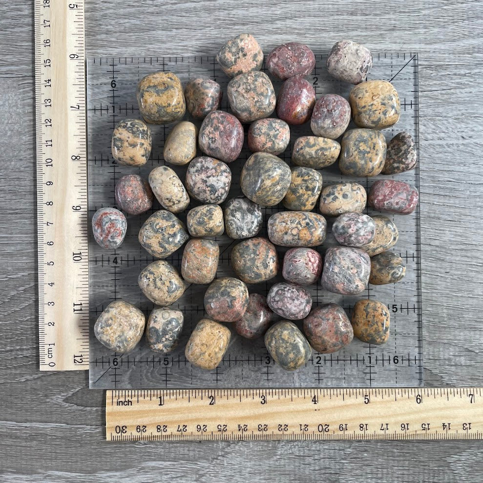 Leopardskin Jasper Tumbled Stones – 1 Pound Lot