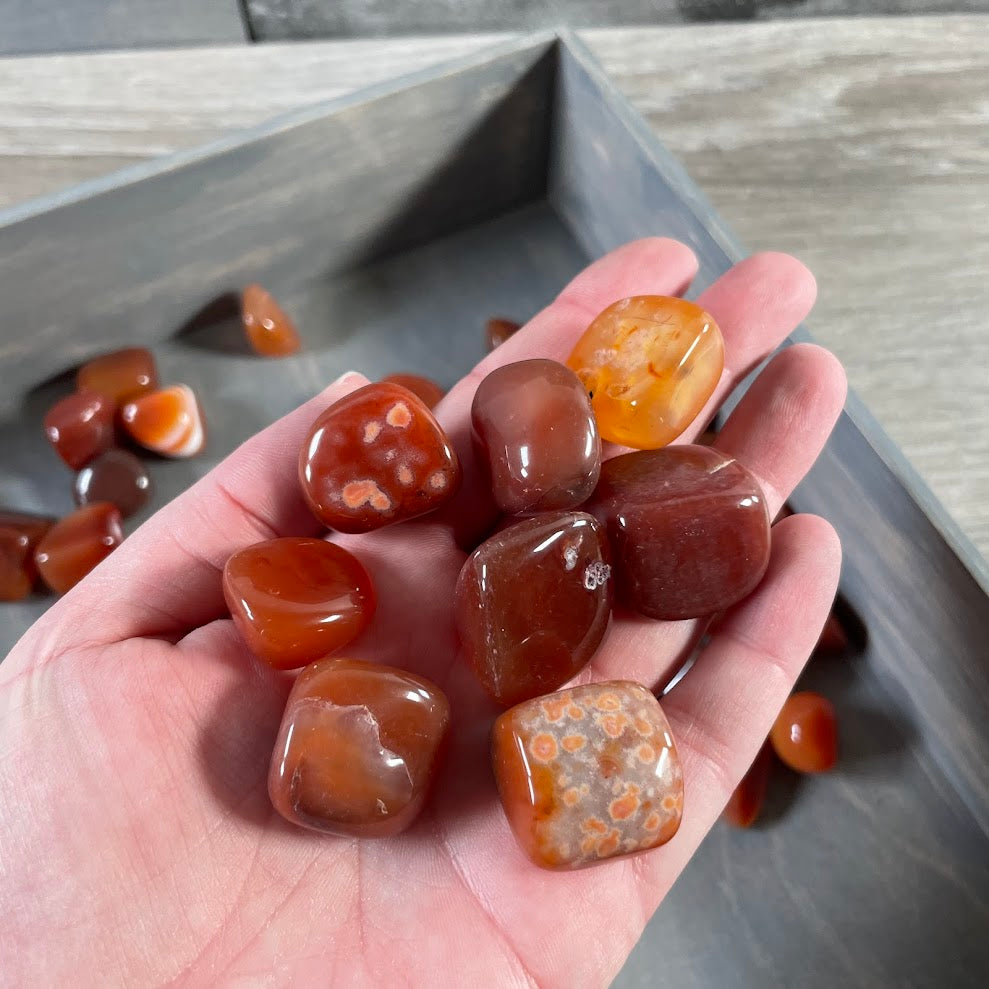 tumbled red agate stones retail display