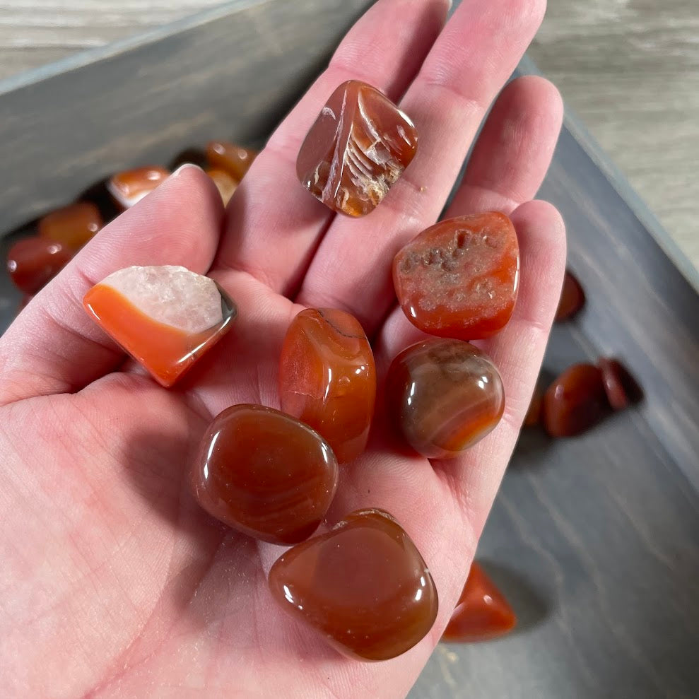 bulk polished red agate stones assortment