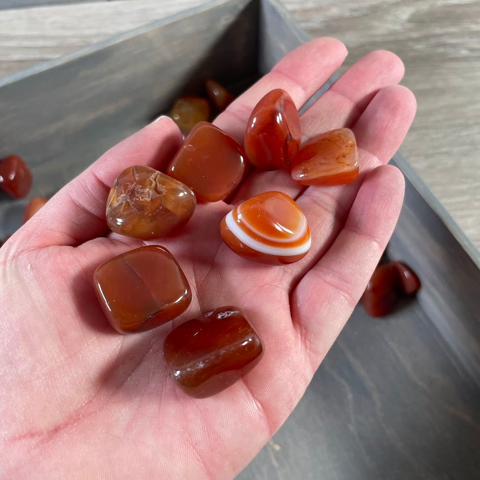 Red Agate Tumbled Stones – Polished Healing Crystal Bulk Wholesale