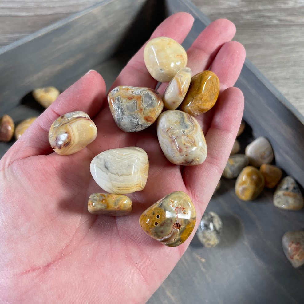 crazy lace agate tumbled stones bulk 1 lb