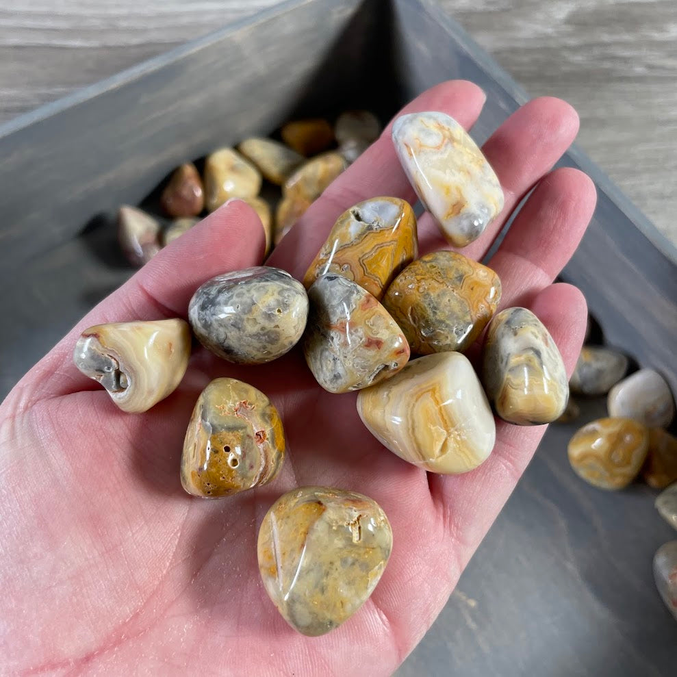 bulk healing crystals crazy lace agate