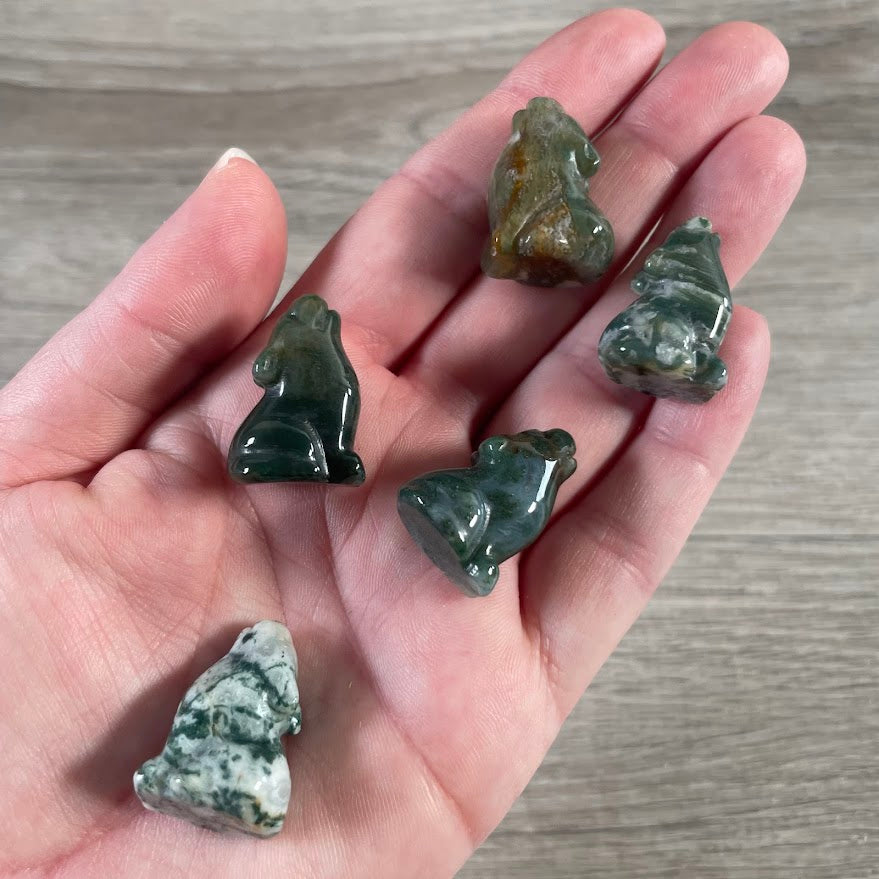 moss agate crystal coyotes