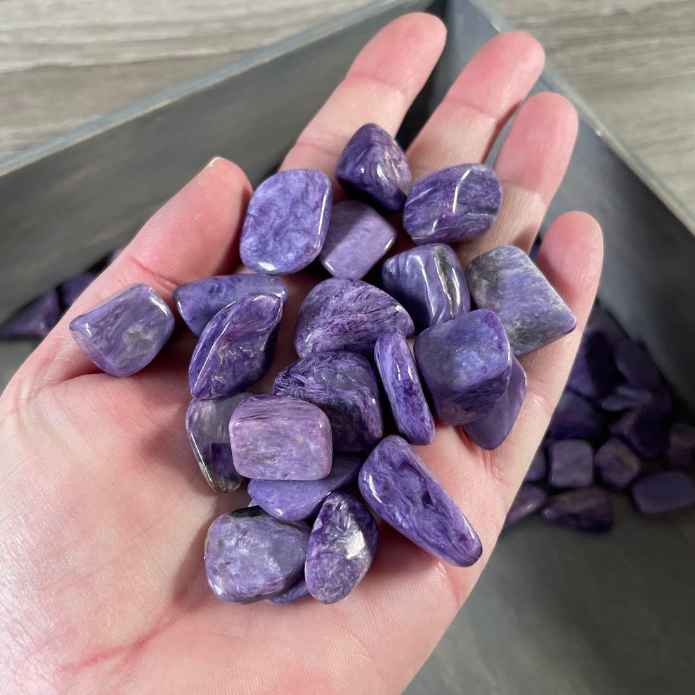 small charoite tumbled stones for resale display