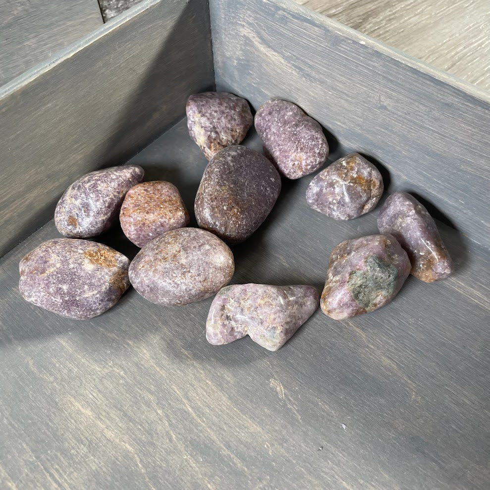 Bulk Lepidolite Tumbled Stones – 1 lb Wholesale Healing Crystals for Retail
